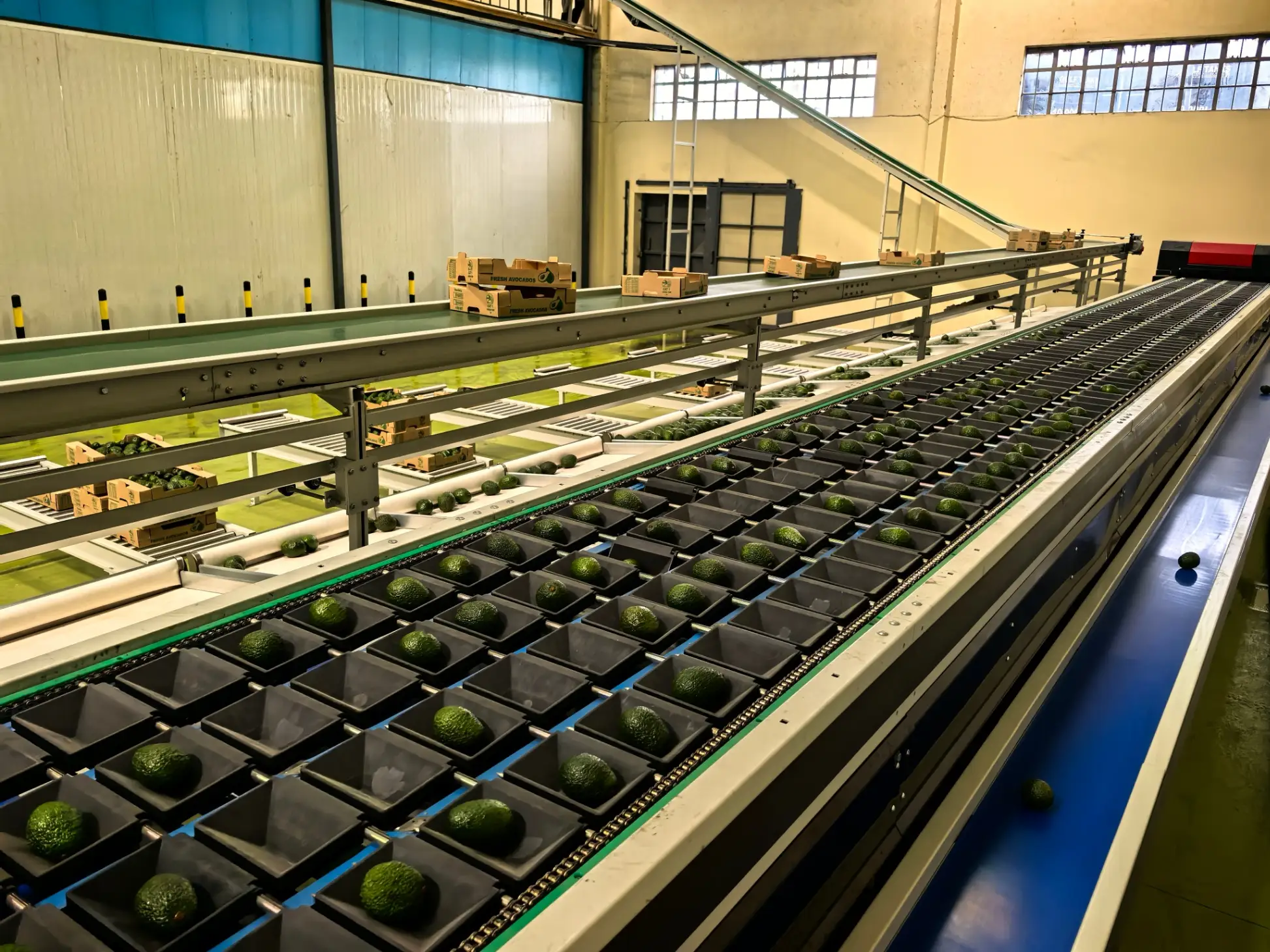 Instalaciones Globales - FstSort manufacturing facility