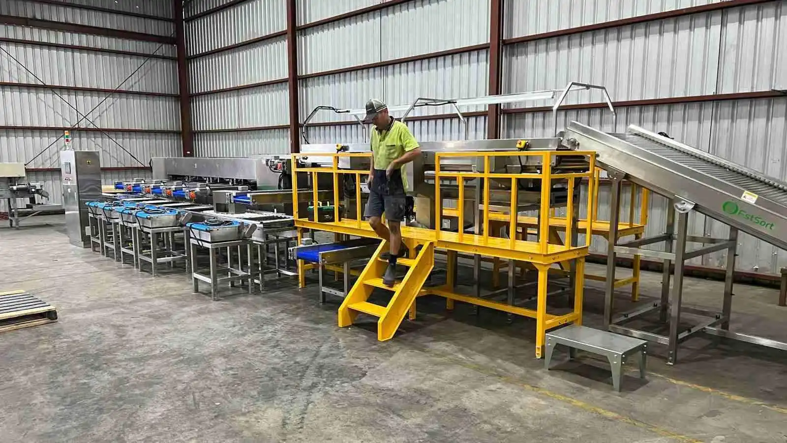 Jujube Grading packing machine installed in Australia - FstSort partner