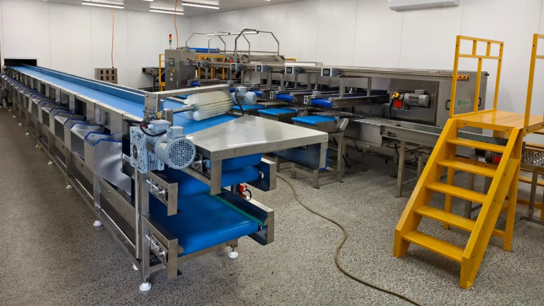 Lychee Grading, Sorting and Packing Line in Australia
