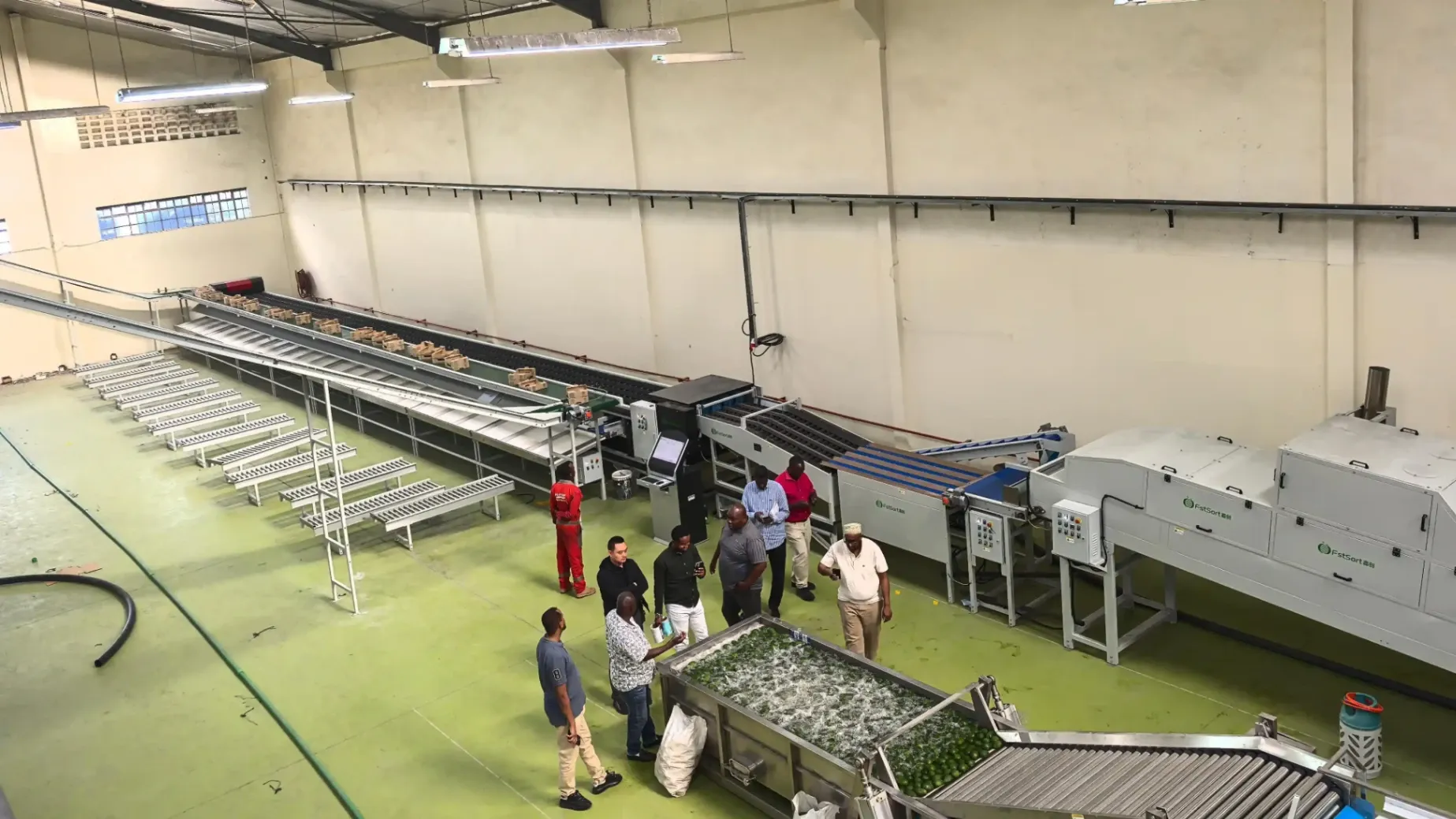 Fstsort avocado washing sorting processing project in Kenya