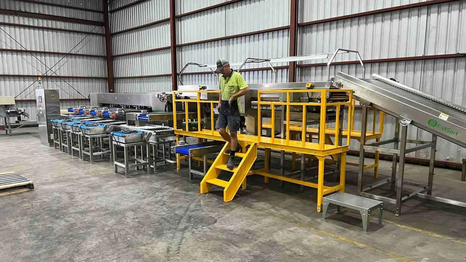 Jujube grading packing line in Australia