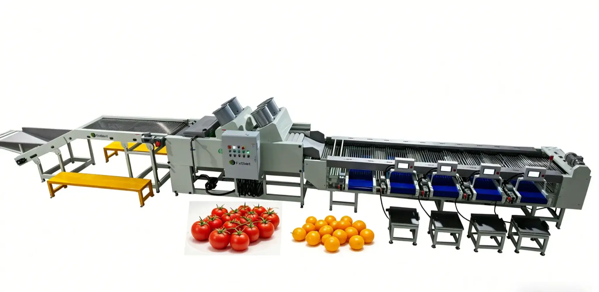 Clasificadora de tomate cherry