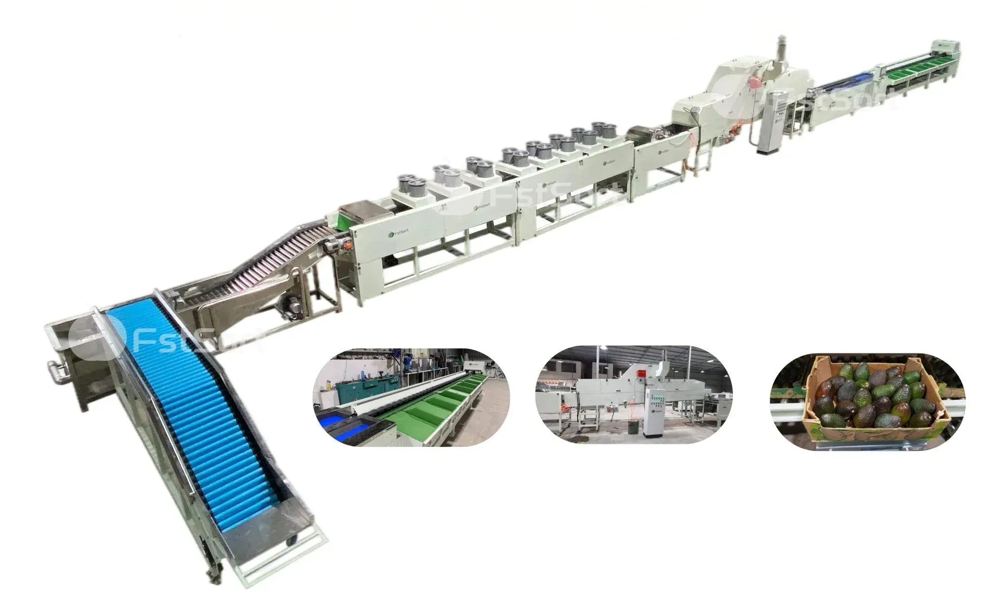 L-shaped avocado washing drying waxing line Ethiopia