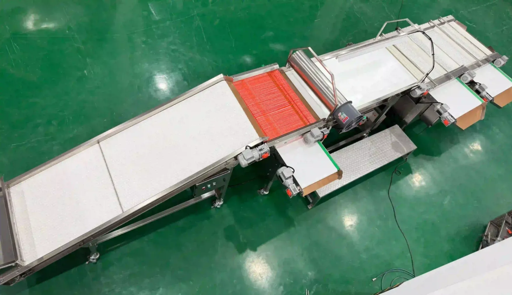 Blueberry belt grading machine