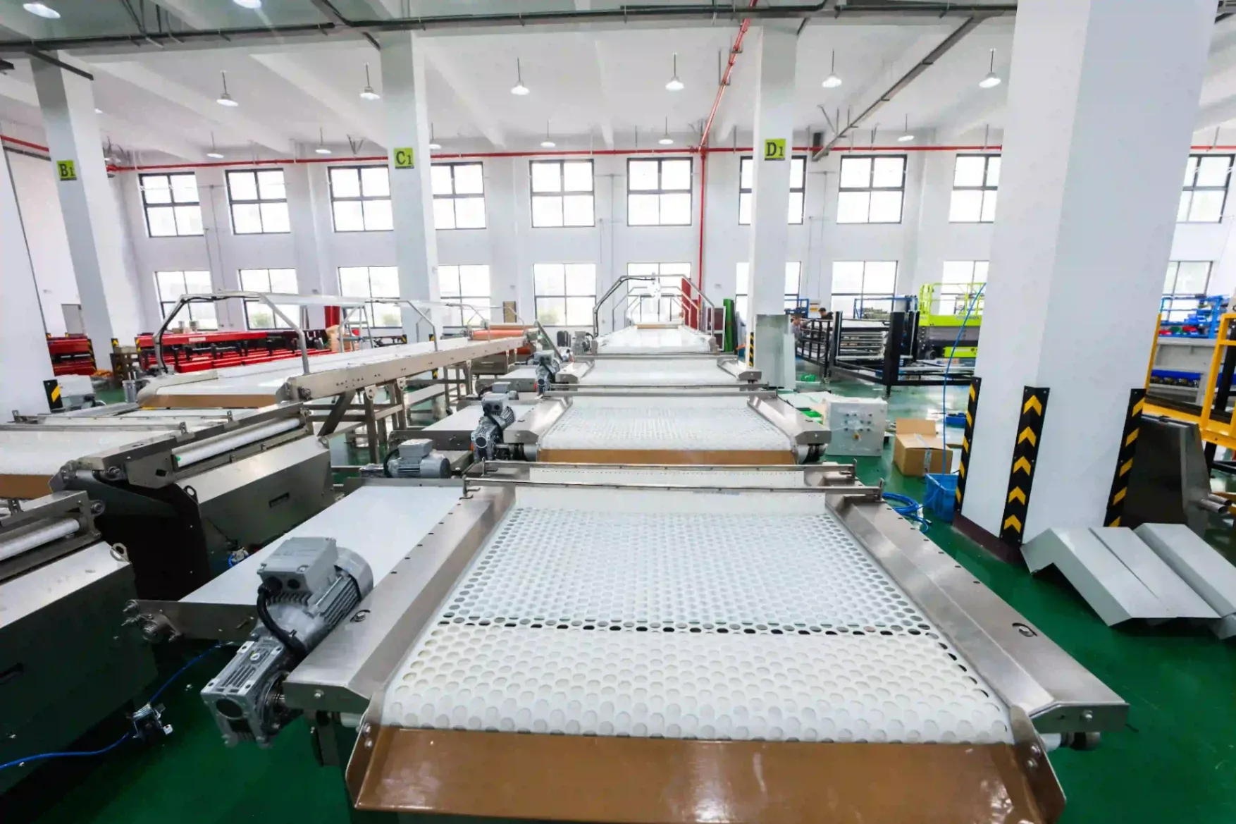 South Africa blueberry grading line