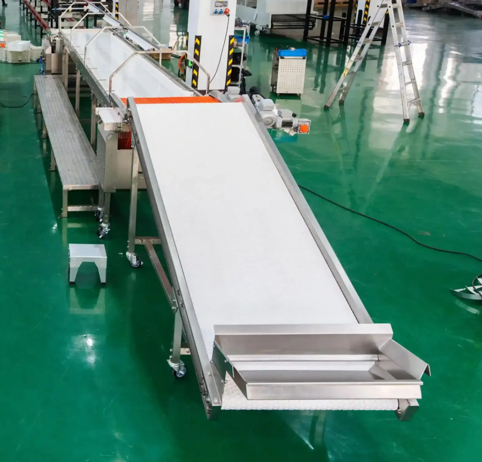Zimbabwe blueberry grading line