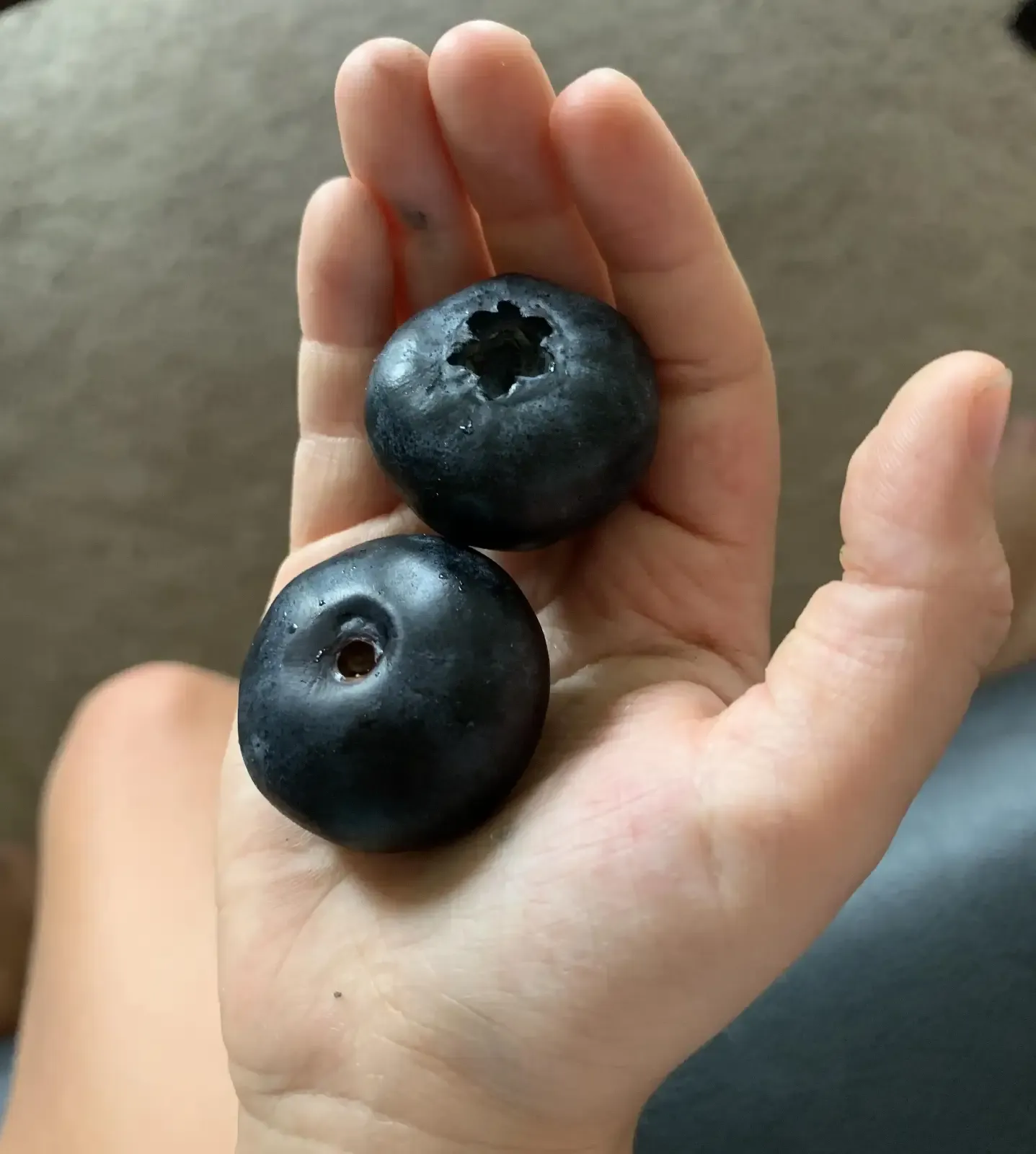 Blueberry grading solution
