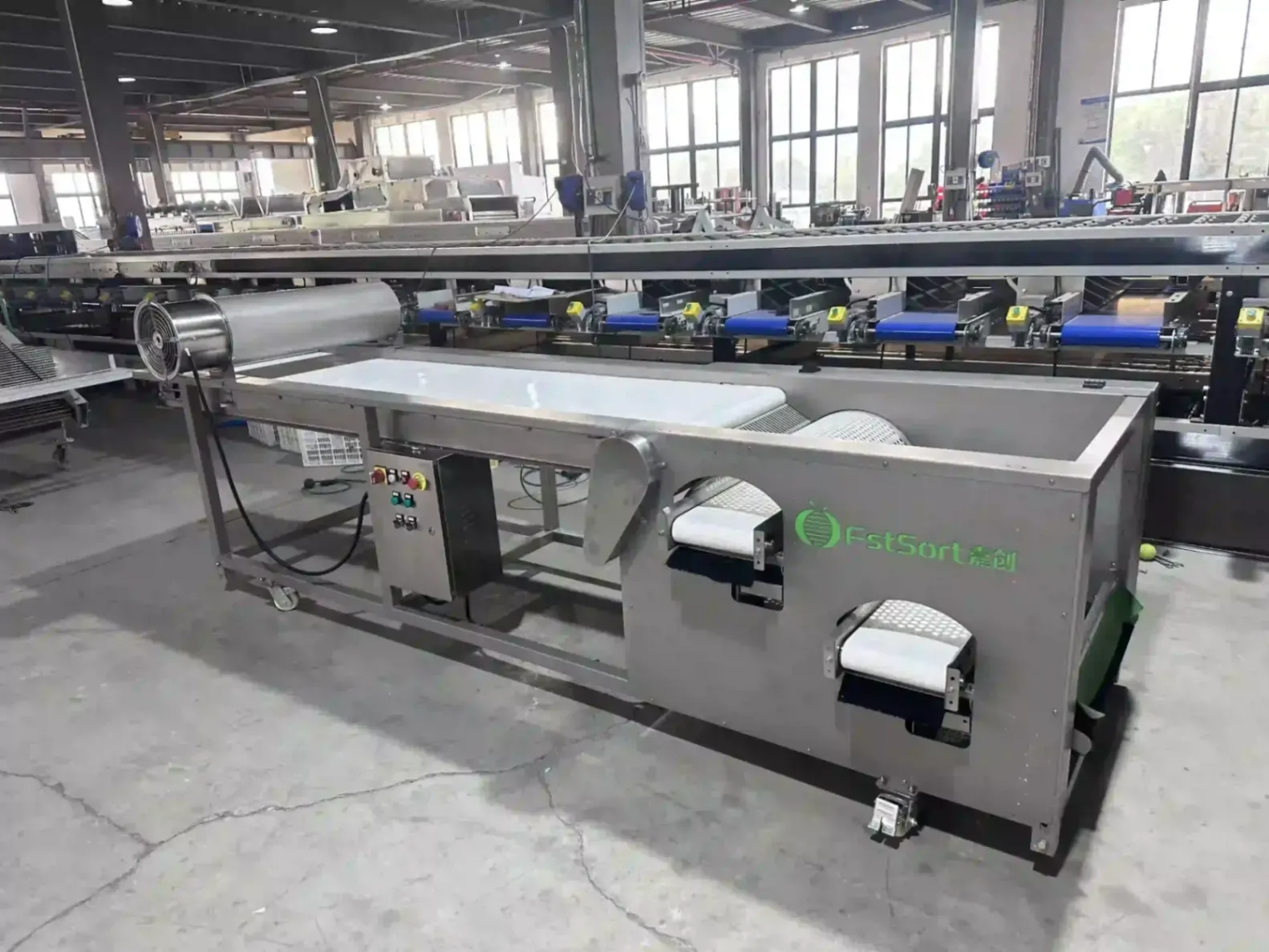 Israel blueberry sorter