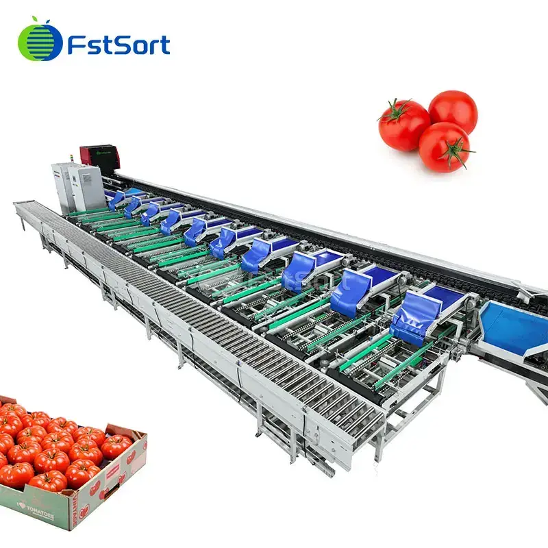 Parámetros de la Máquina de Limpieza y Clasificación de Tomates