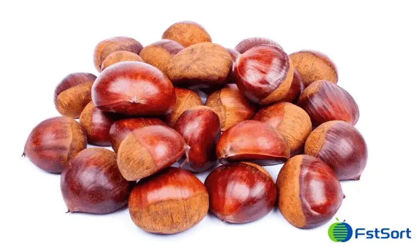 Chestnut classification machine