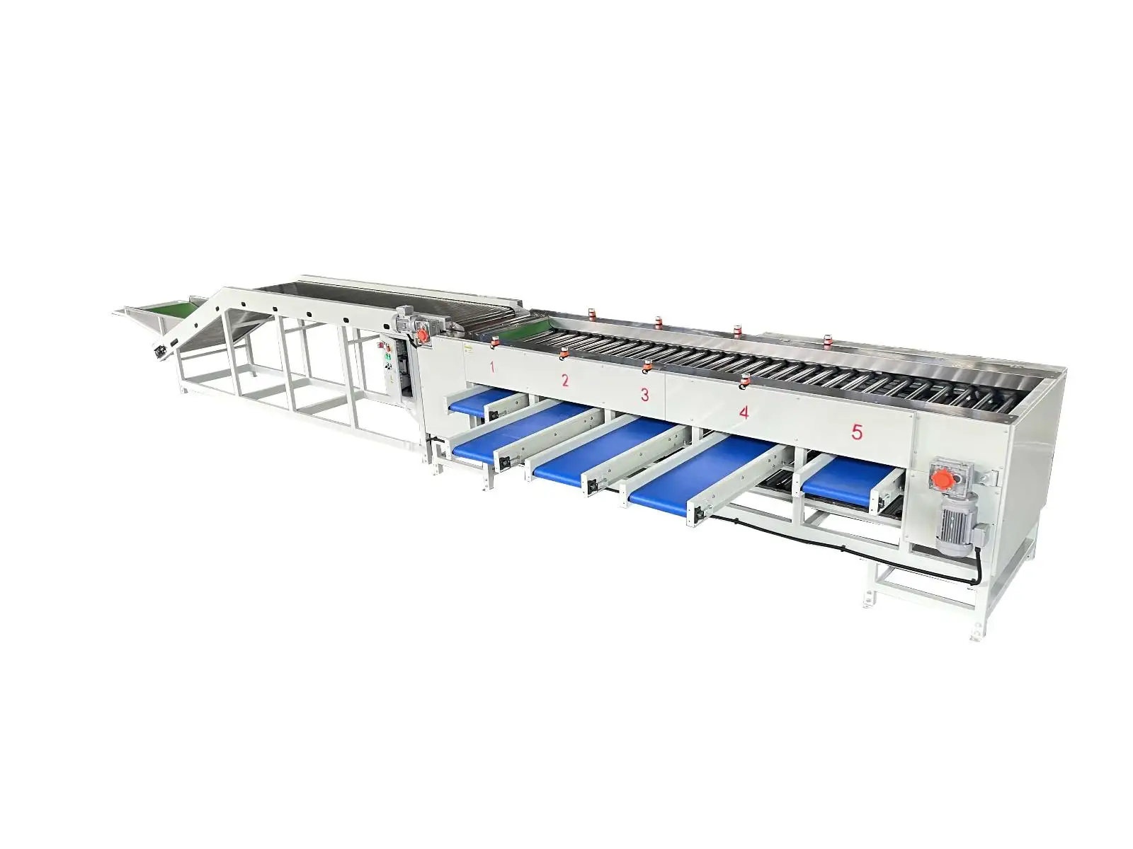 máquina clasificadora de azufaifa