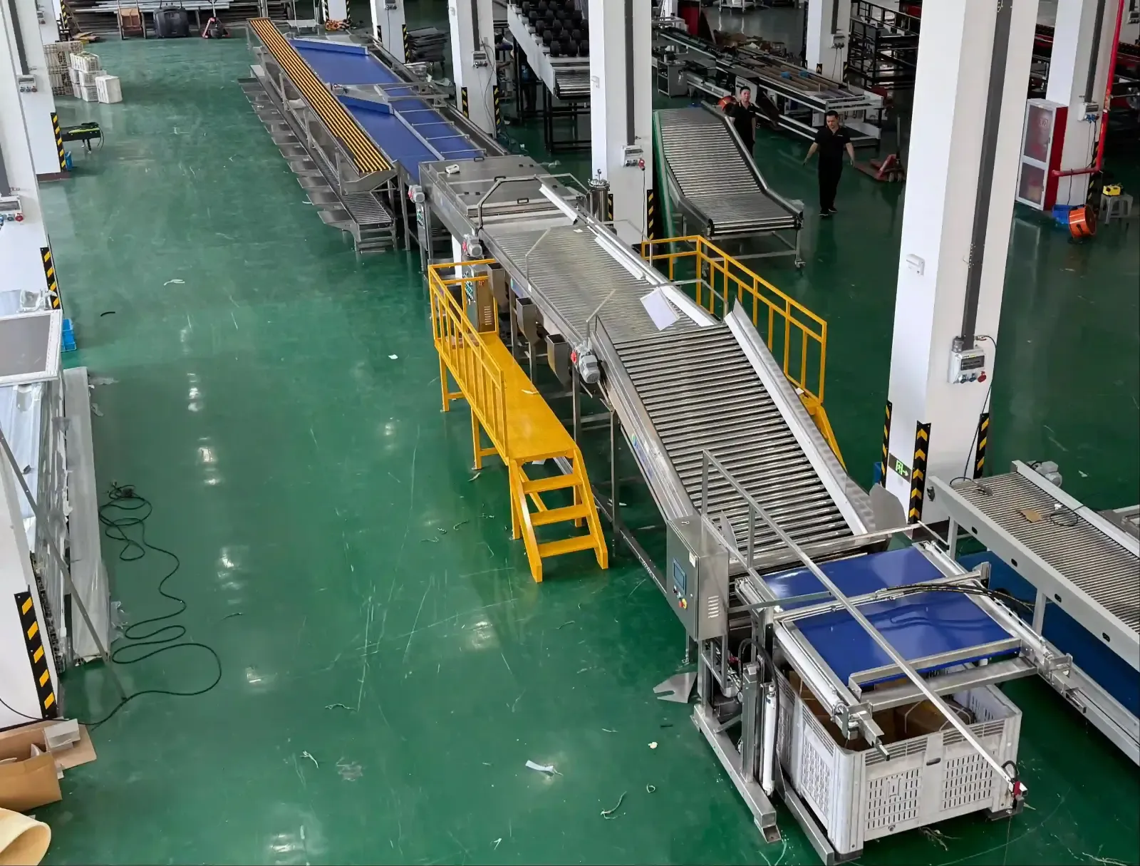 Corn Packing Line