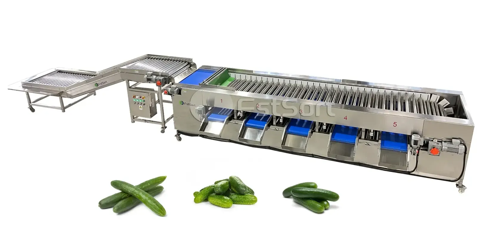 Cucumber grading machine by size