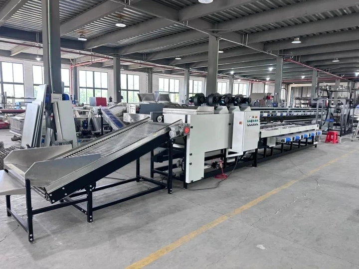 Dates washing grading line customized for Libya | FstSort
