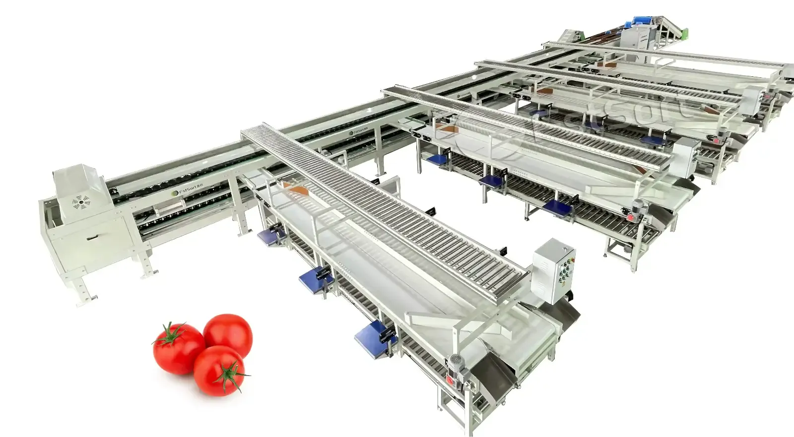Fruit weighing and grading machine packaging line