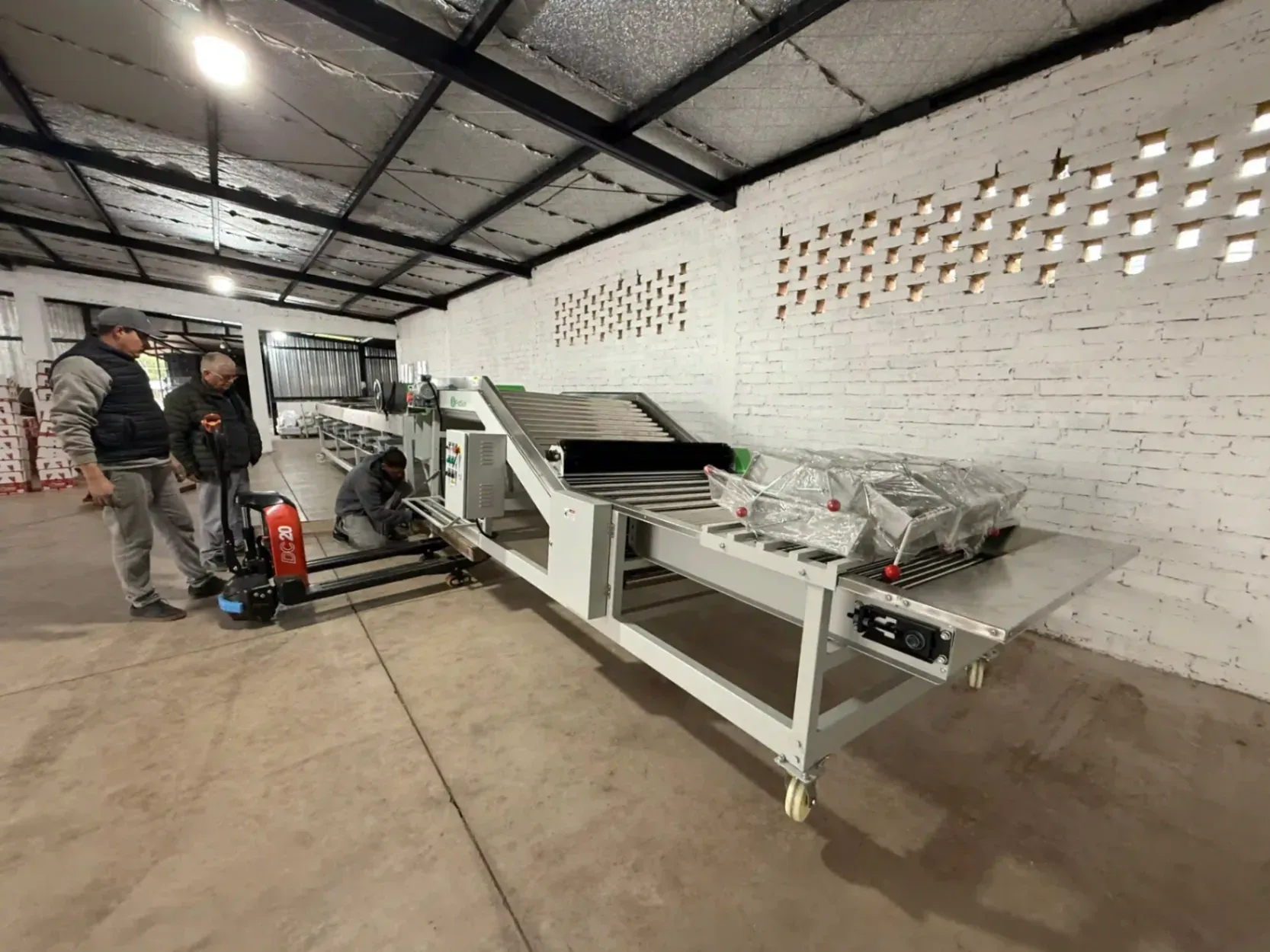 Garlic Grading Machine in Argentina