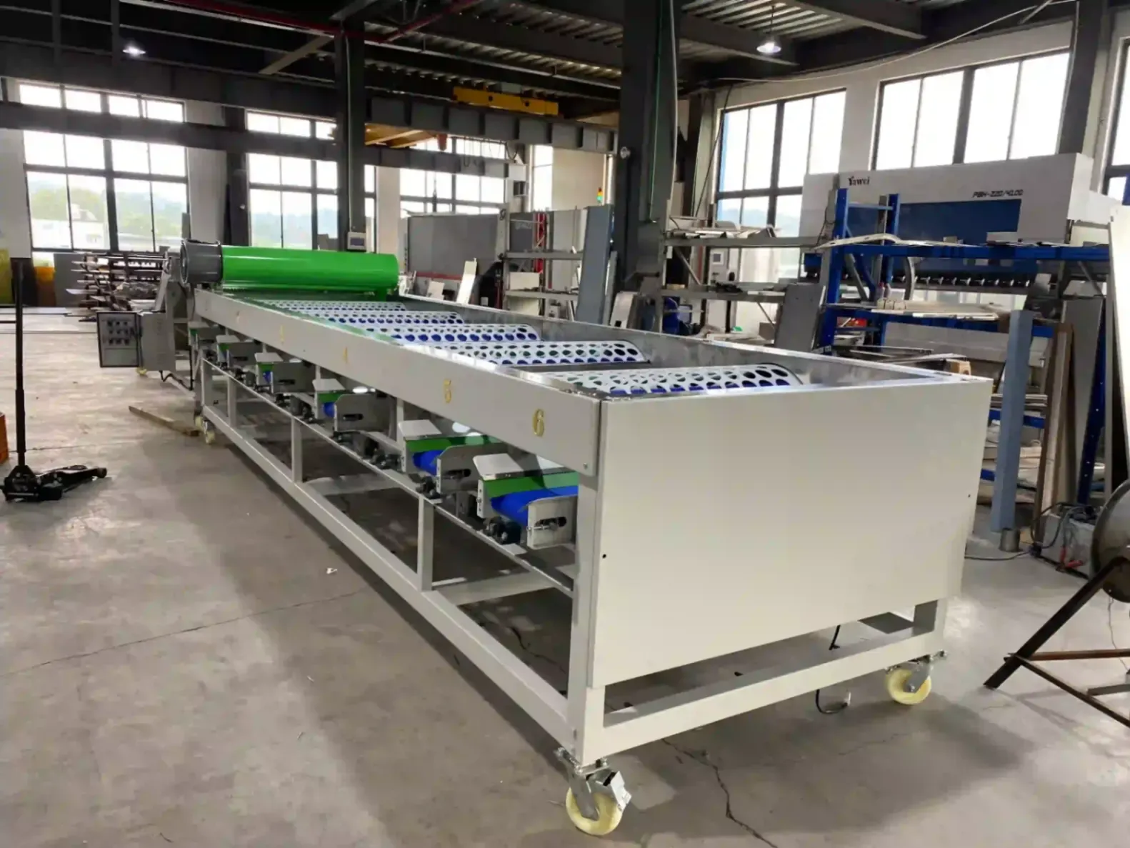 Korea garlic grading machine
