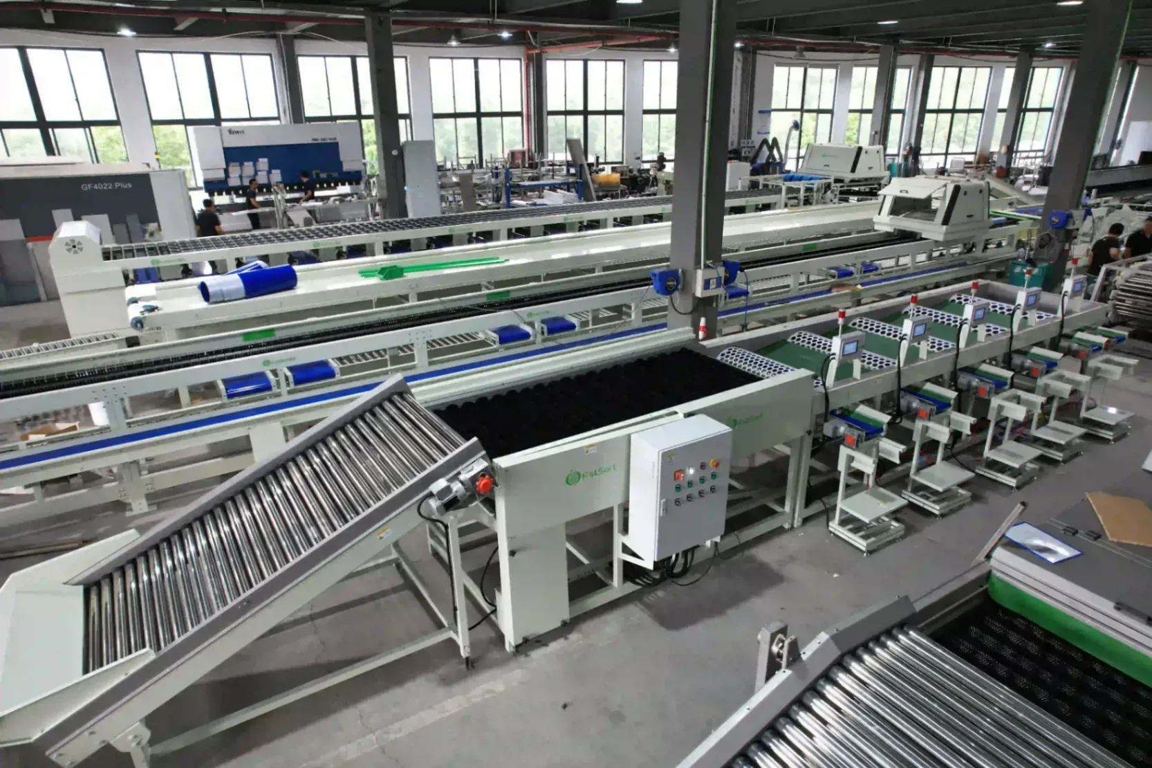 Garlic grading and packaging machine in Australia