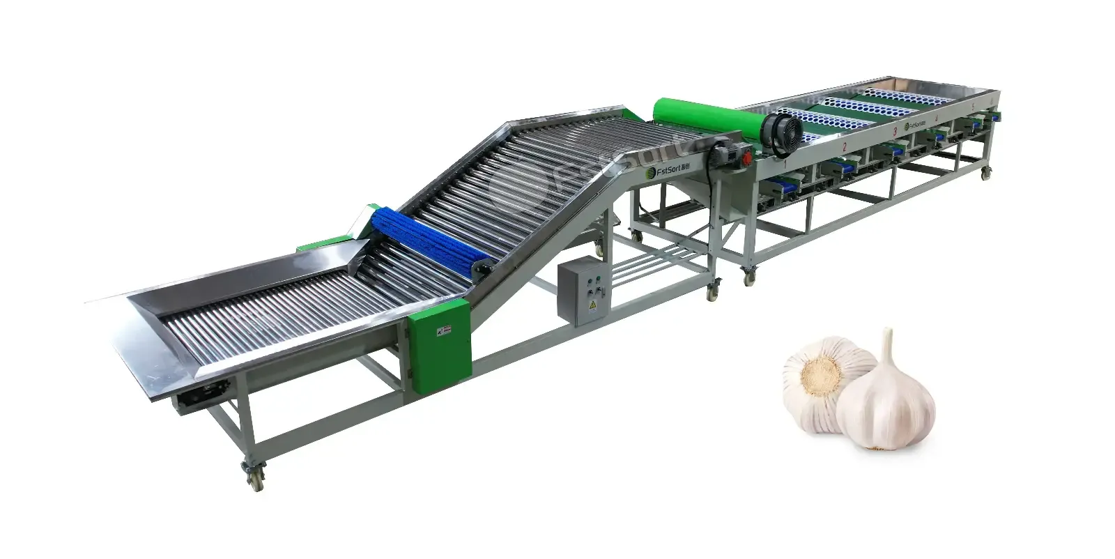 Onion Garlic Grading Machine