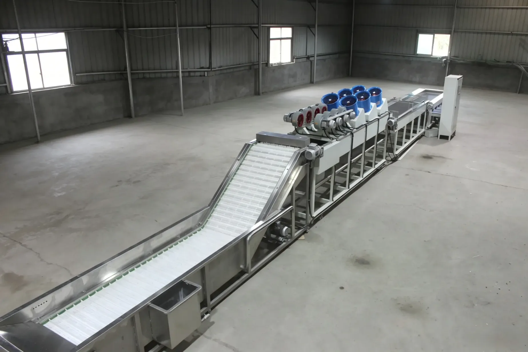Jujube processing line