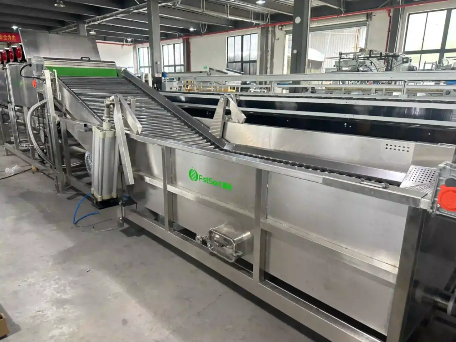 Chile lemon washing waxing line