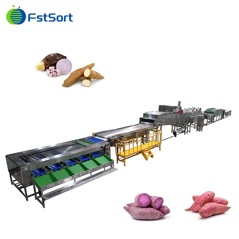 Máquina de Limpieza y Clasificación de Batatas