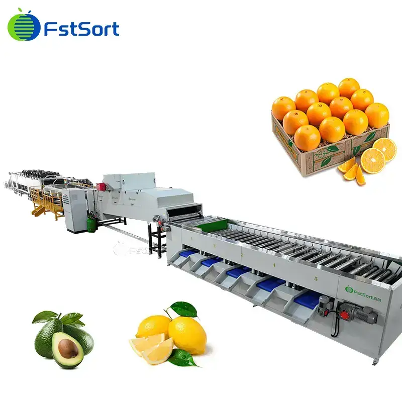 Máquina de Clasificación de Naranjas y Limones