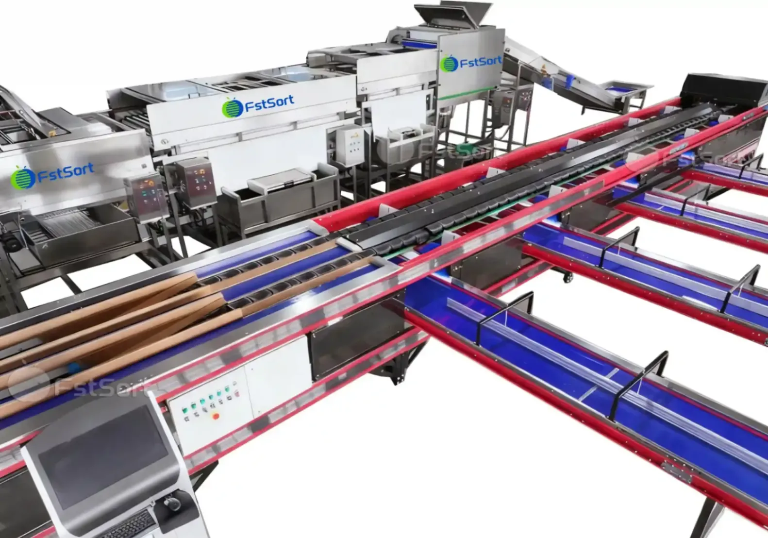 Mango processing line by weight