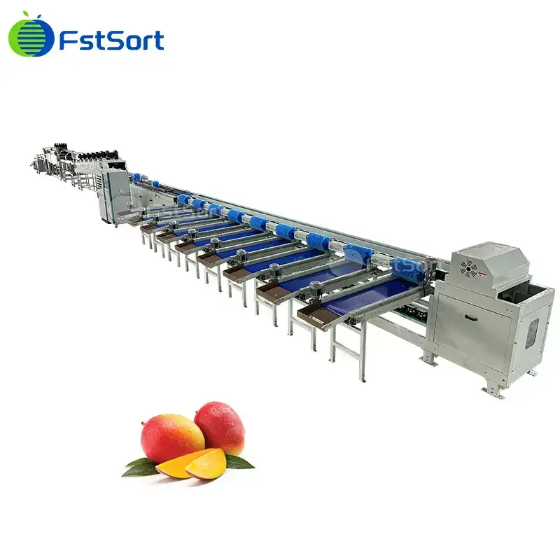 Máquina clasificadora de mangos por peso