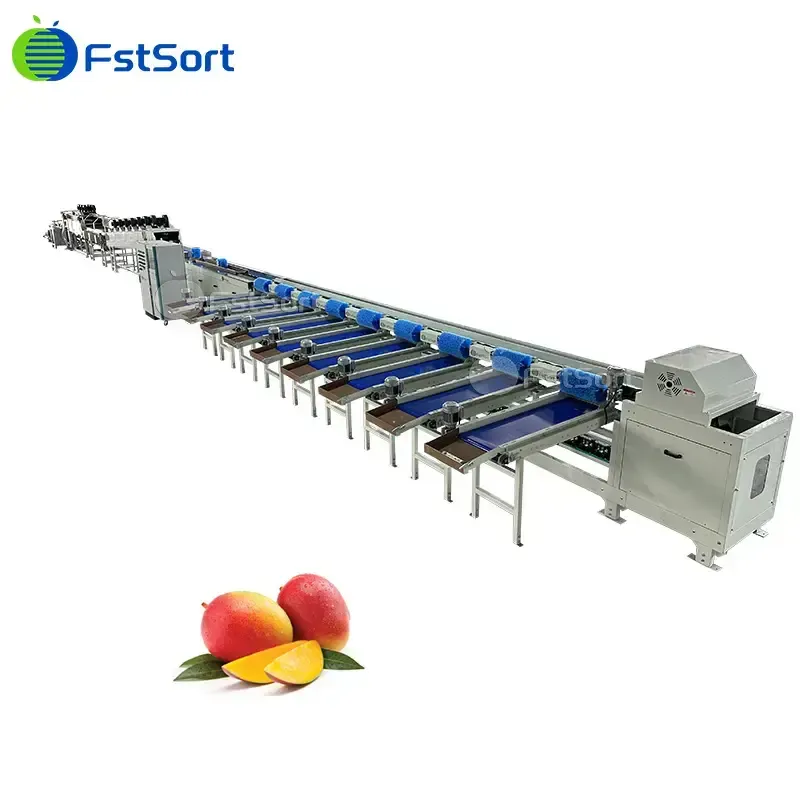 Máquina clasificadora de mangos por peso