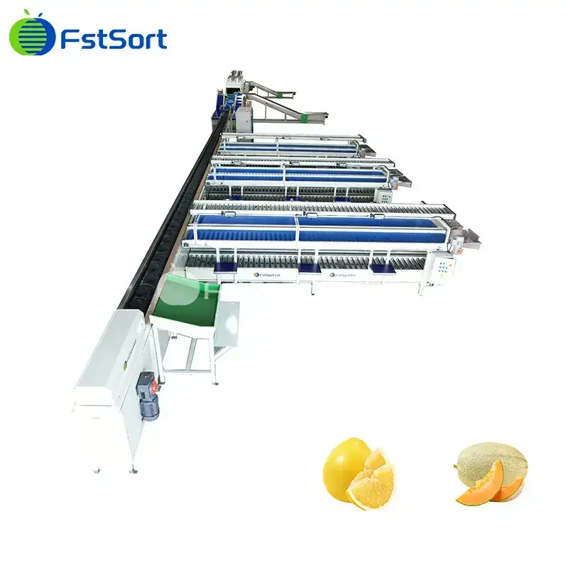 Máquina clasificadora de pomelo