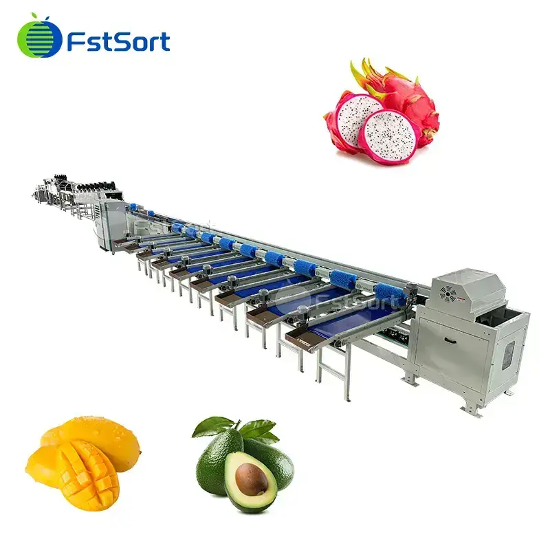 Línea de clasificación de secado de limpieza de fruta de dragón