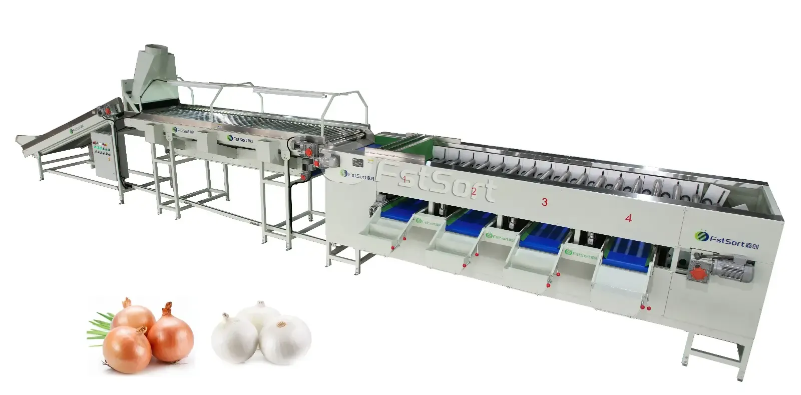 Benefits of Using an Onion Grader 
