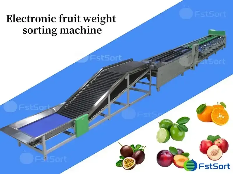 A sorting equipment based on weight