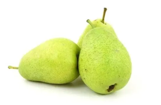Special sorting equipment for pears