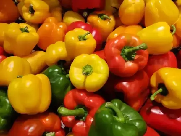 Guía de Compra de Máquinas Clasificadoras de Pimientos