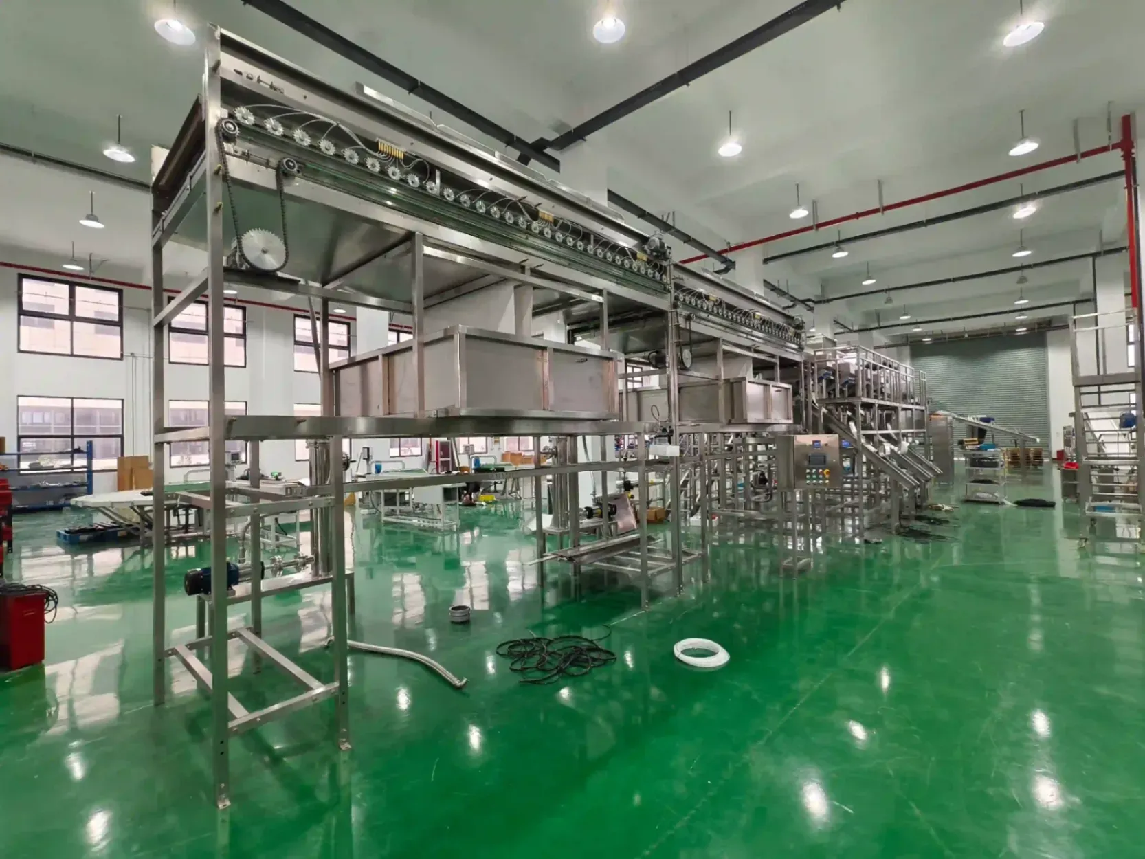 Sweet potato washing drying sorting machine in Argentina