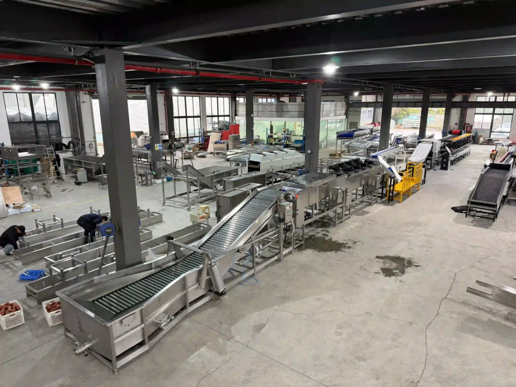 Honduras sweet potato washing drying sorting machine