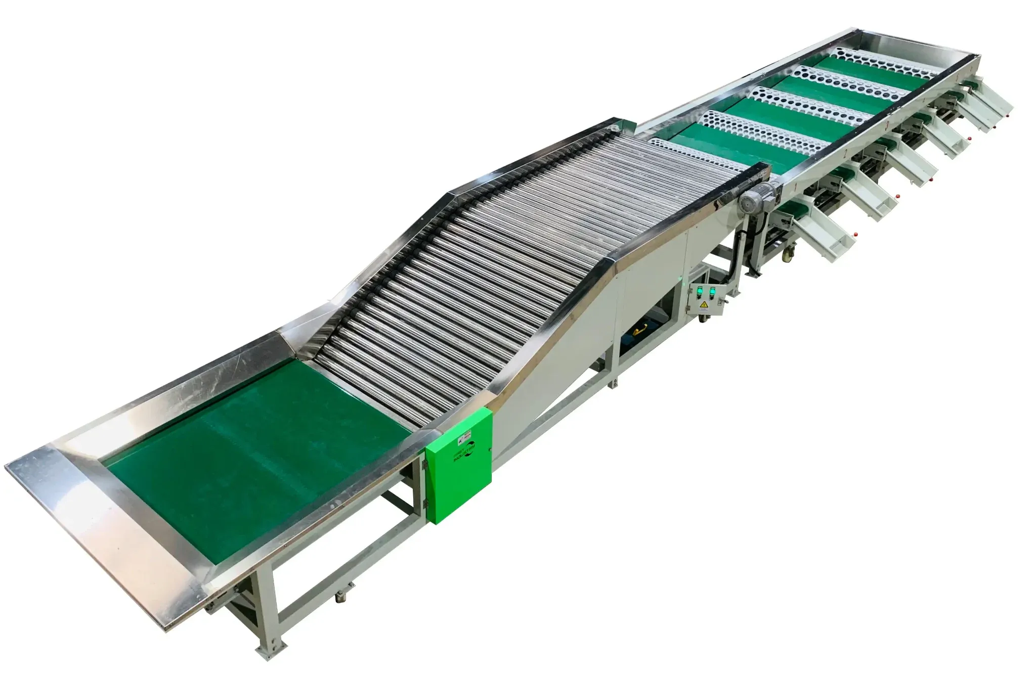 Tomato Processing Solutions: From Sorting Machines to Fully Automated Packing Lines