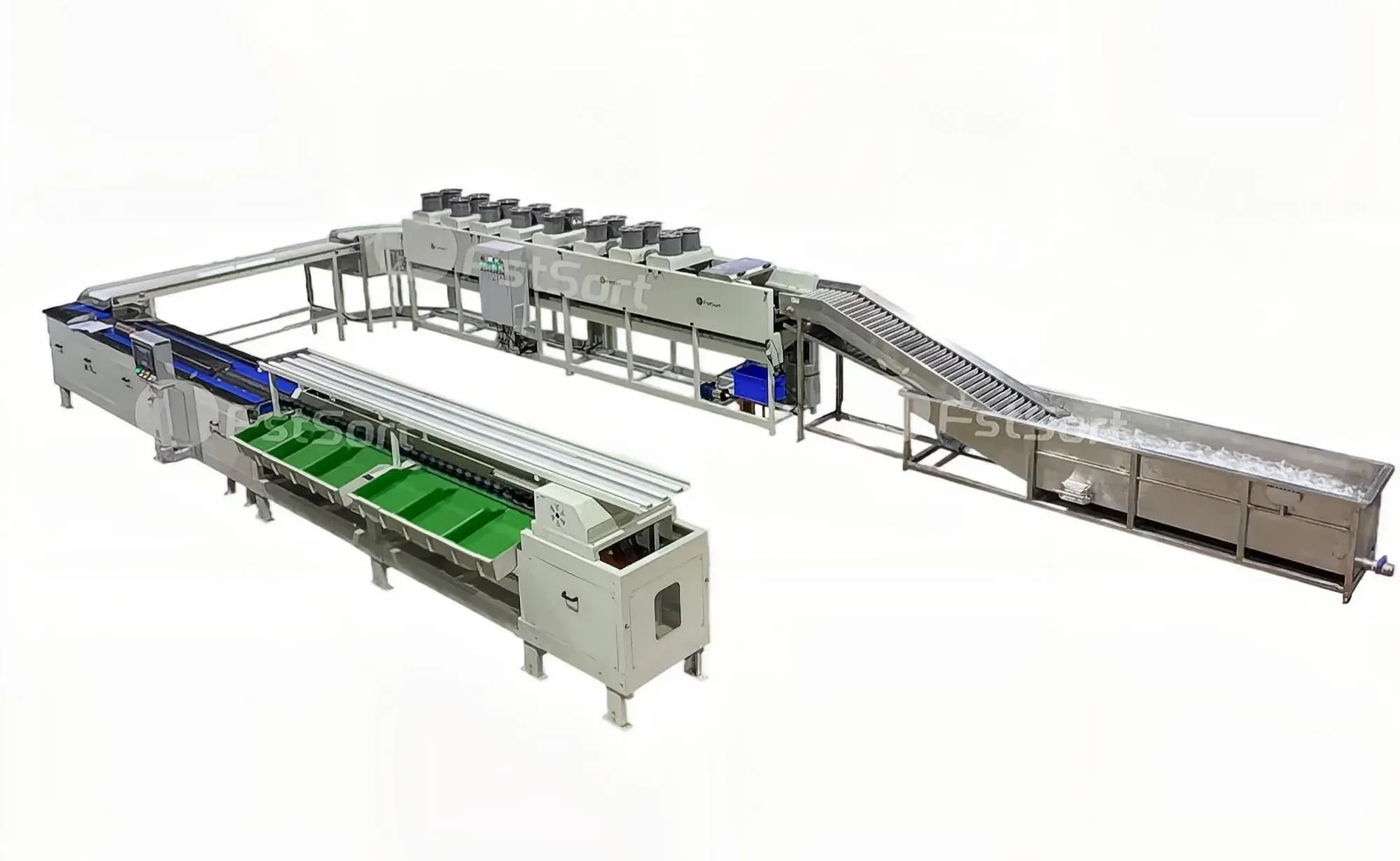 U-shaped avocado processing line to Myannar
