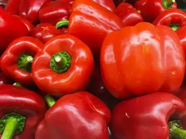 clasificadora de rodillo de pimiento